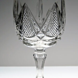 Early American Pattern Glass Antique Coral Gables Goblet