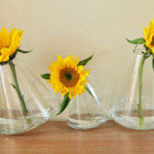 Fascinating twirling vase set influenced by gravity. hey spin longer without water. We've used very large sunflowers in water in the images below to help show size.