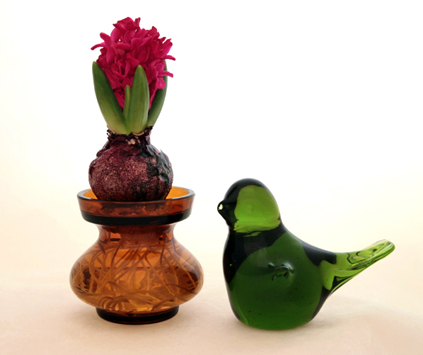 Small sized for the medium to small bulbs.